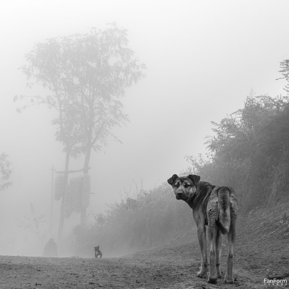 Foggy Winter in the Great Liangshan Mountains