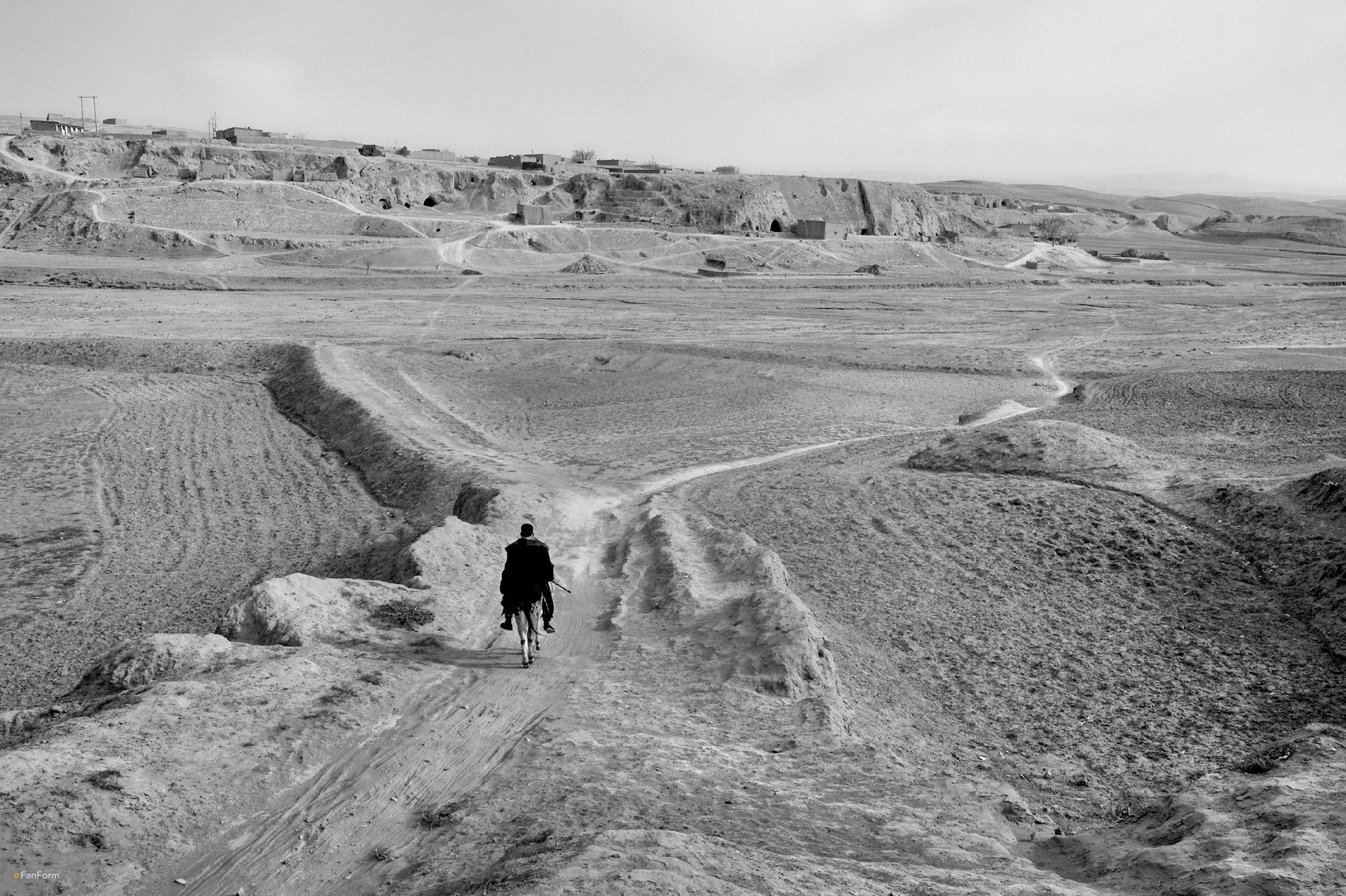 L1001368.jpg