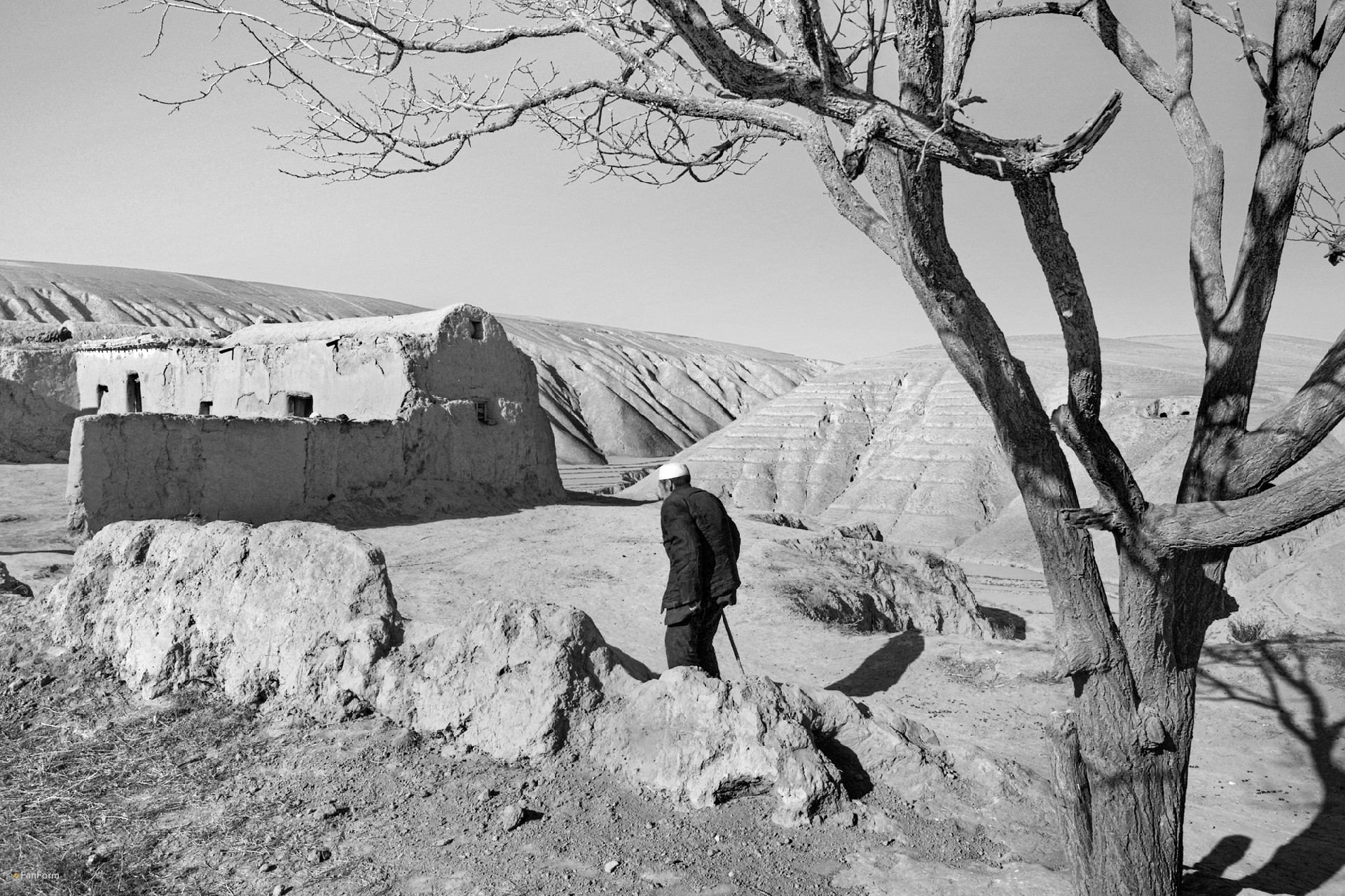 L1002783.jpg